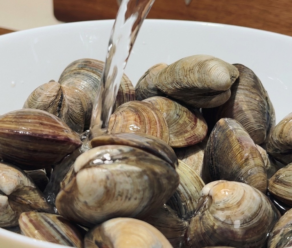 Nahaufnahme von Venusmuscheln in einer weißen Schüssel unter fließendem klarem Wasser.