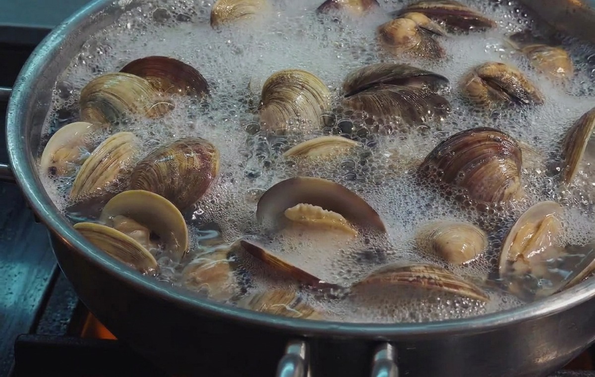 Muscheln kochen in sprudelndem Wasser, die meisten Schalen sind weit geöffnet.