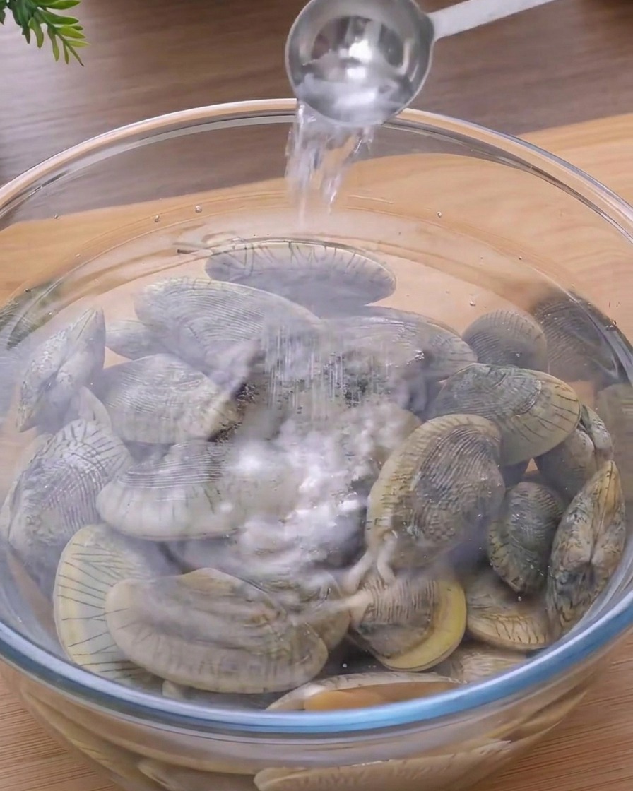 Ein Löffel schüttet Salz in eine Glasschüssel mit Wasser und frischen Venusmuscheln.