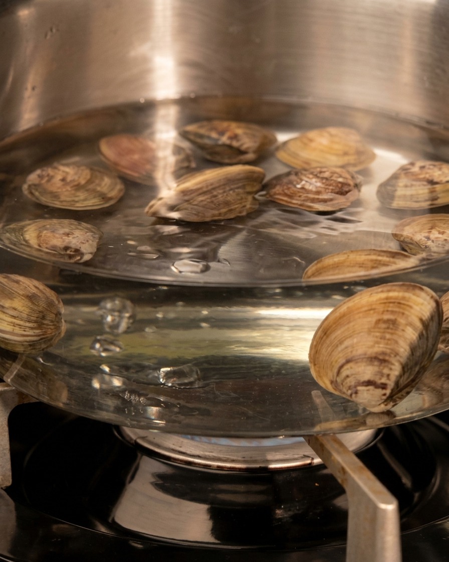 Frische Muscheln in geschlossenen Schalen kochen in einem Topf mit Wasser auf dem Gasherd.