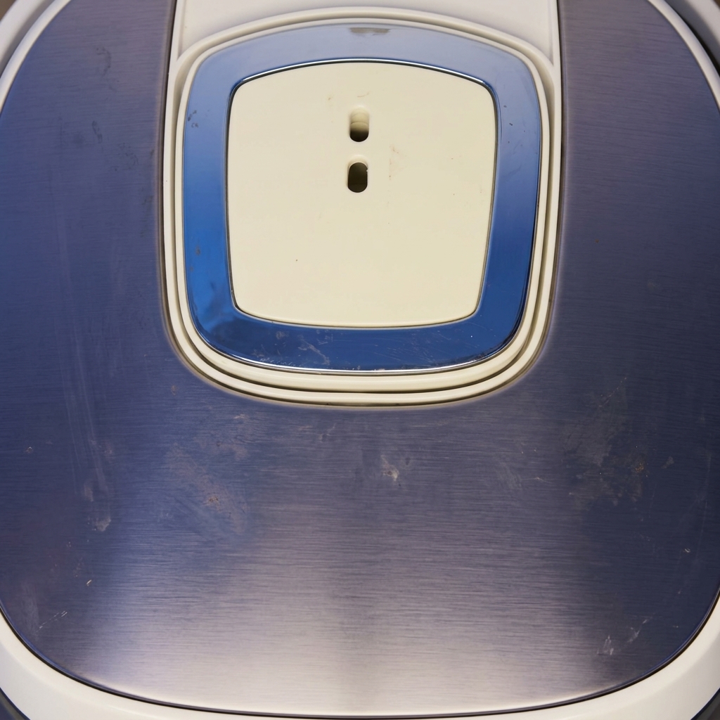 Die geschlossene Oberseite eines modernen blau-weißen Reiskochers.
