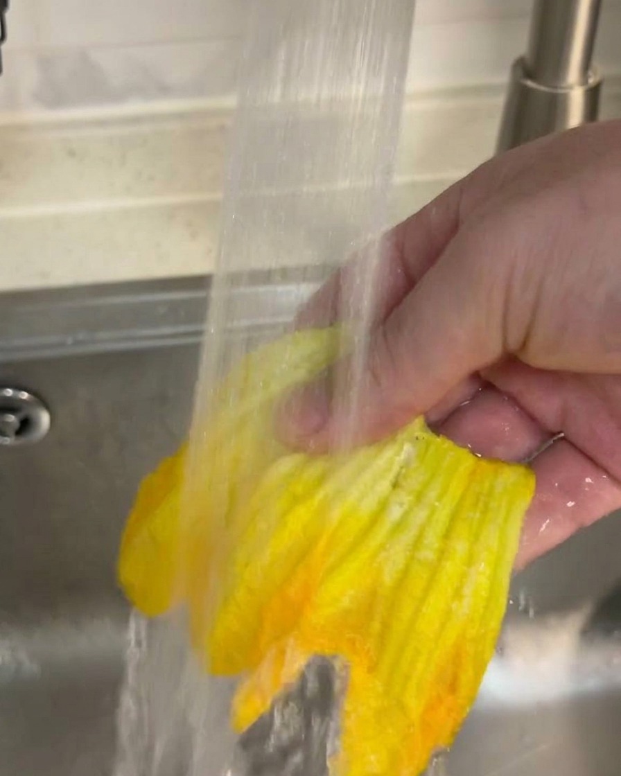 Eine Hand hält eine leuchtend gelbe Kürbisblüte unter einen sanften Wasserstrahl in der Spüle.