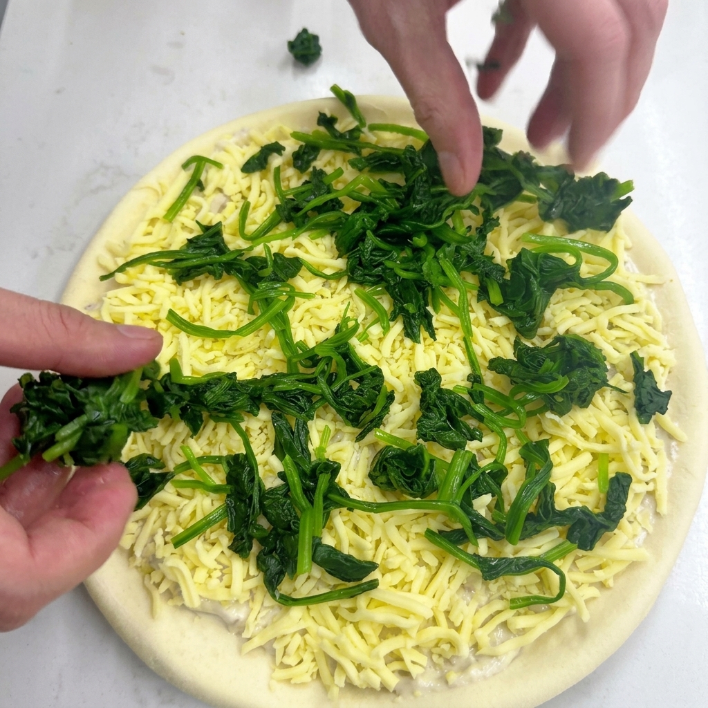 Zwei Hände platzieren Portionen von blanchiertem grünem Spinat auf dem mit Käse belegten Pizzaboden.
