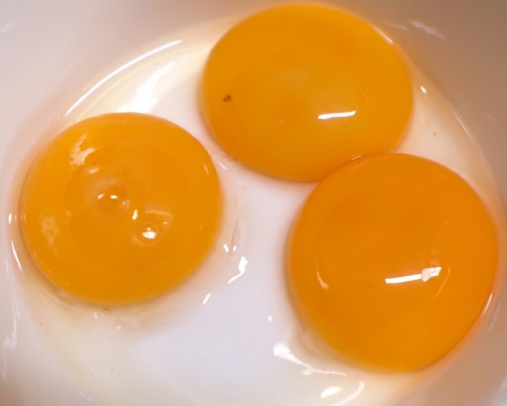 Drei leuchtend orangefarbene Eigelbe in einer sauberen weißen Keramikschale.
