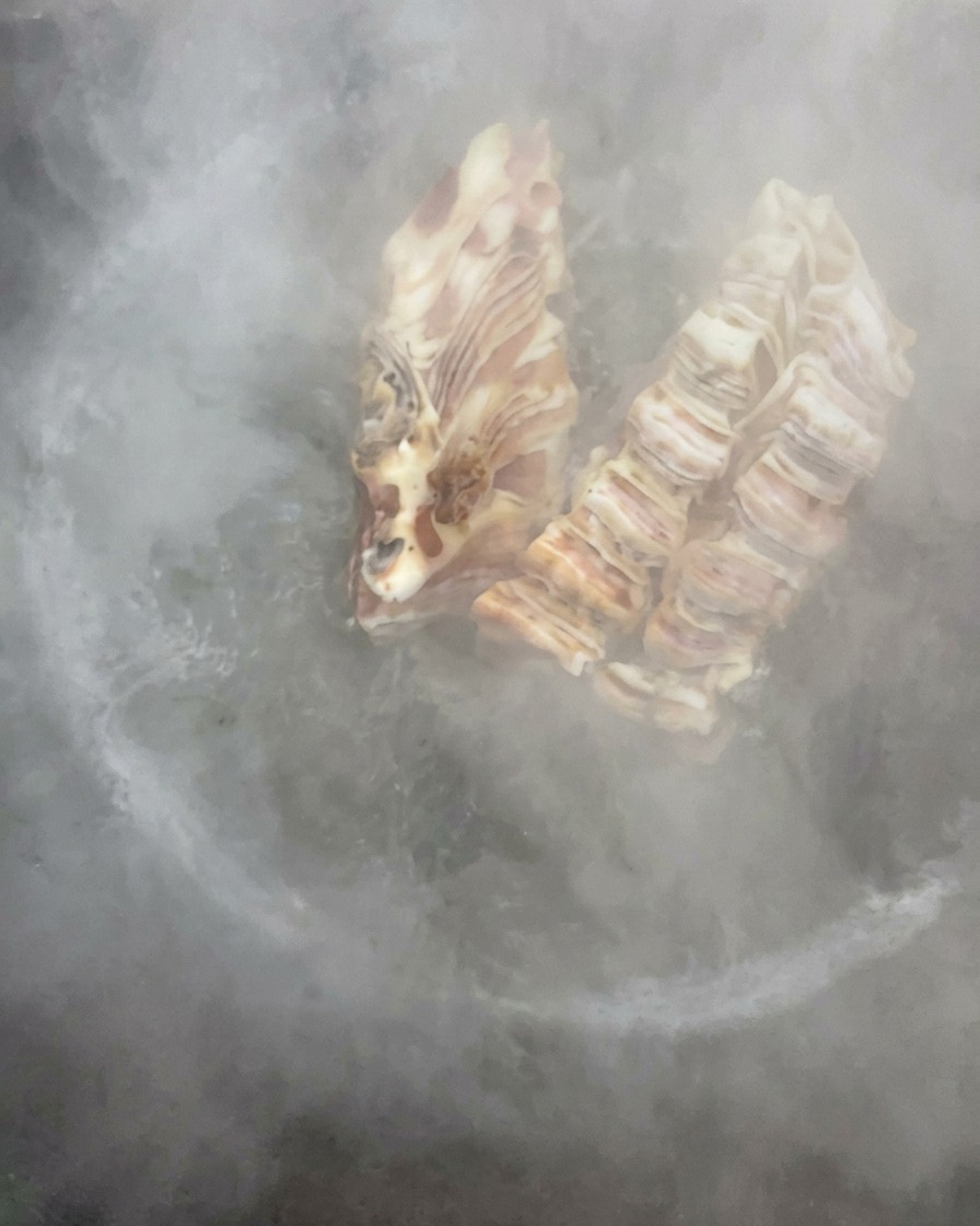 Gepökelte Schweinerippchen kochen in einem großen, dampfenden Topf mit Wasser.