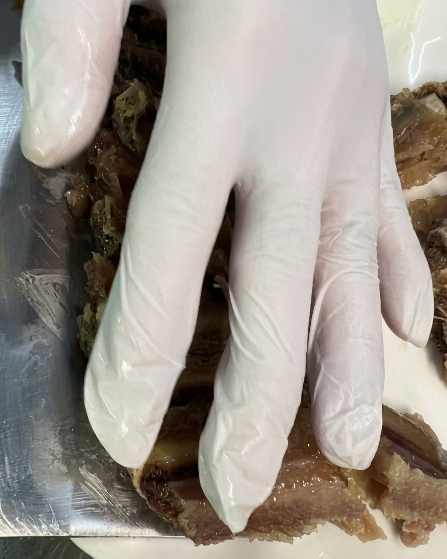 Eine Hand in einem Handschuh richtet geschnittene Stücke der gedämpften gepökelten Schweinerippchen ordentlich auf einem weißen Teller an.