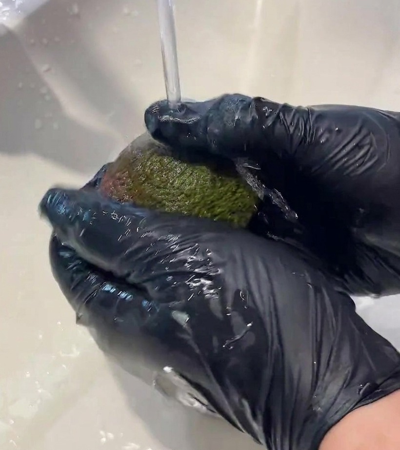 Eine halbierte Avocado ohne Kern liegt auf einem Holzbrett.