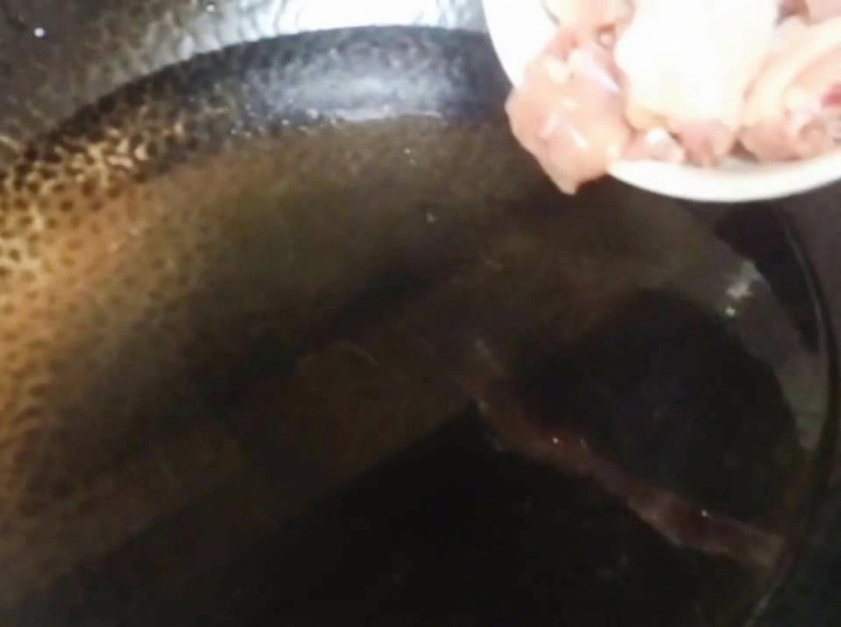 Rohe Hähnchenteile werden von einem weißen Teller in einen Wok mit kaltem Wasser gegeben.