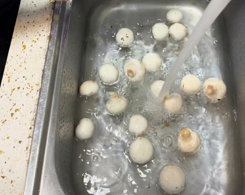 Nahaufnahme einer Hand, die den Hut eines weißen Champignons mit einem feuchten Papiertuch abwischt.
