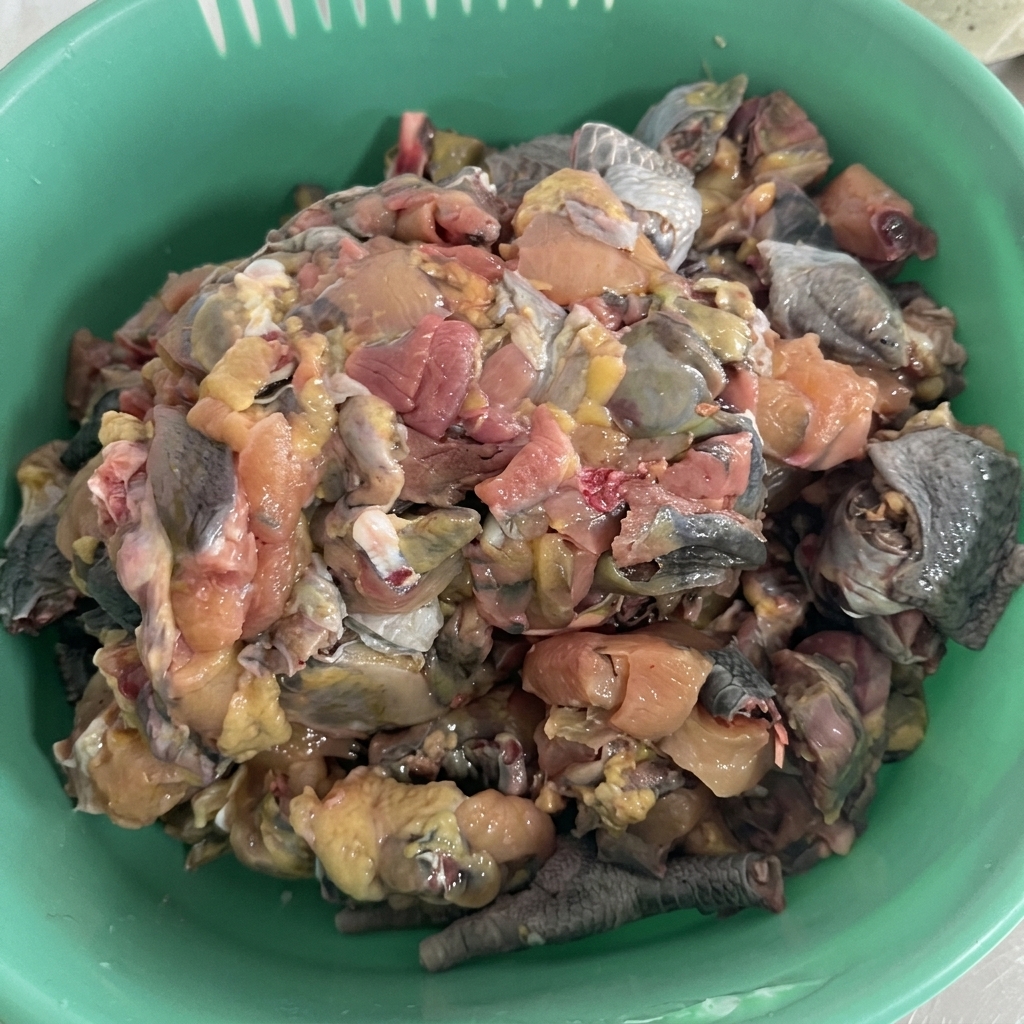 Ein grüner Plastikkorb voller frisch gehackter Stücke rohen Seidenhuhns, das seine charakteristische dunkle Haut zeigt.