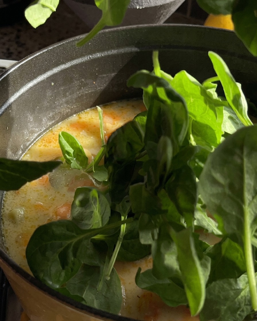Handvoll frischer grüner Babyspinatblätter werden in einen Topf mit cremiger Suppe gegeben.
