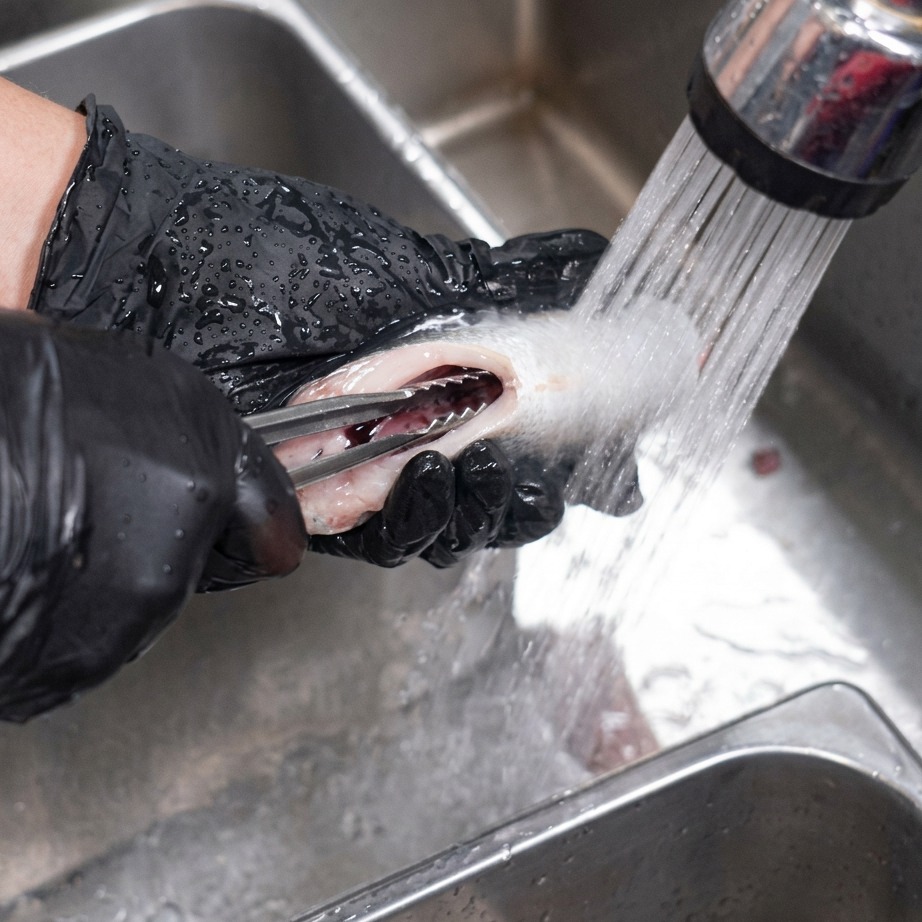 Reinigen des Inneren eines Makrelenstücks mit einer Küchenzange unter einem Wasserhahn.