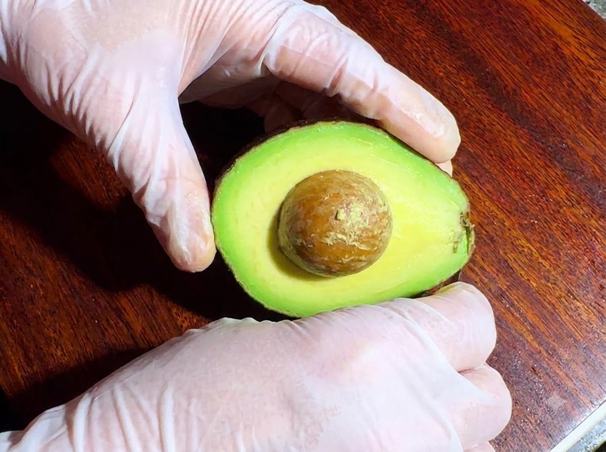 Eine halbierte Avocado mit Kern, gehalten von behandschuhten Händen auf einem Holzschneidebrett.