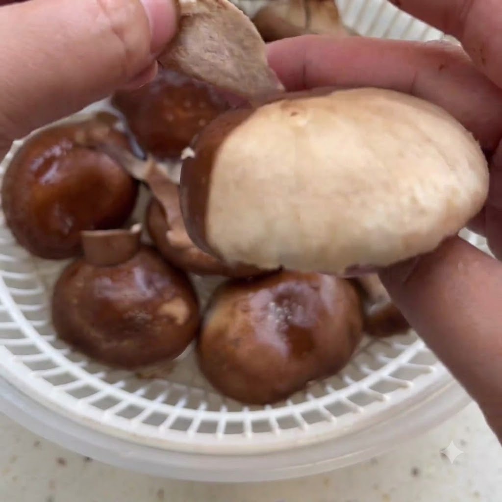 Hände schälen die äußere Haut eines frischen Shiitake-Pilzes über einem Sieb ab.
