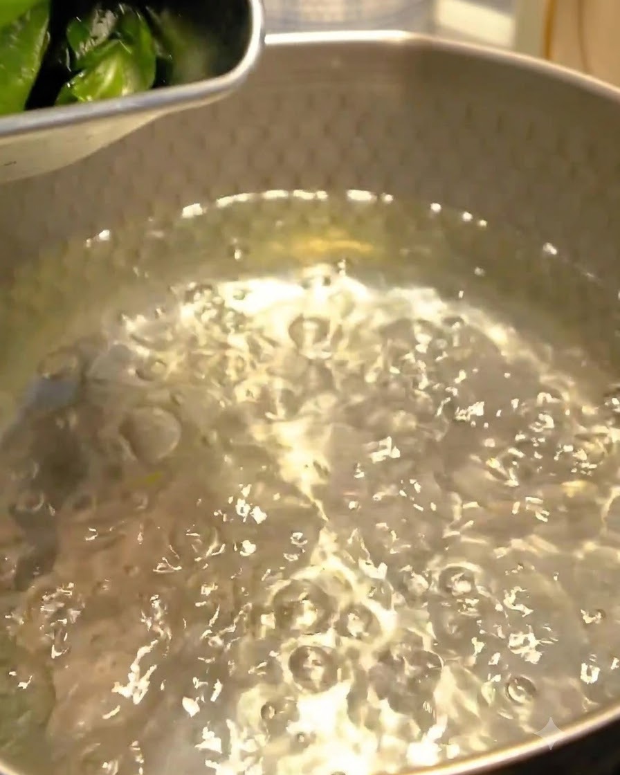Wakame-Seetang wird in sprudelndes Wasser in einem Metalltopf gegeben.